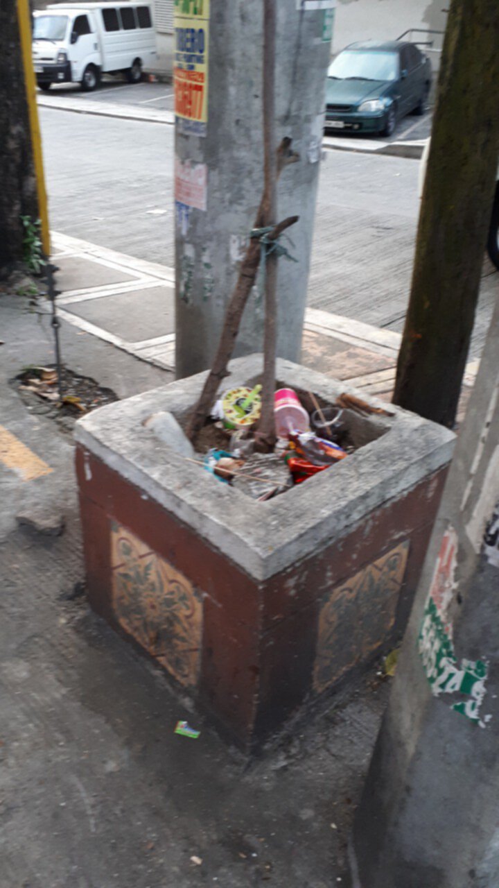 A plant box on a sidewalk, littered with garbage